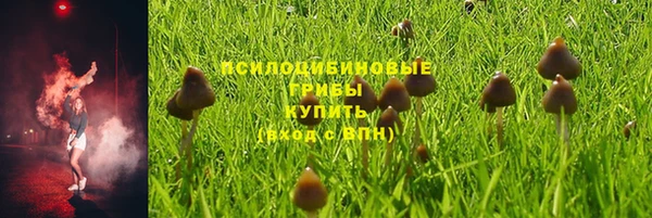 соль курить ск Горняк