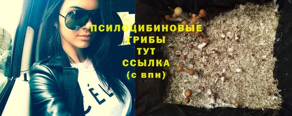 соль курить ск Горняк