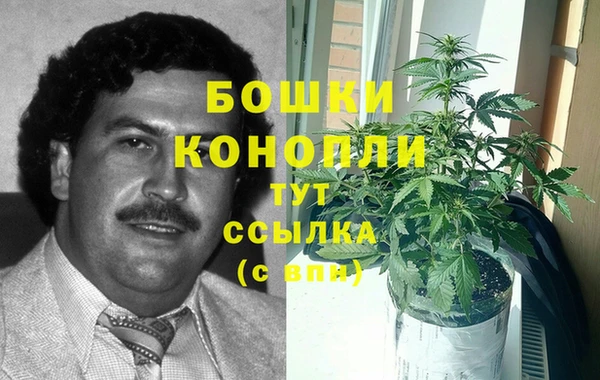 2c-b Горно-Алтайск