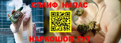мдпв Гусев