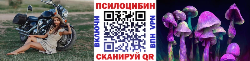 Псилоцибиновые грибы мицелий  Лесной 