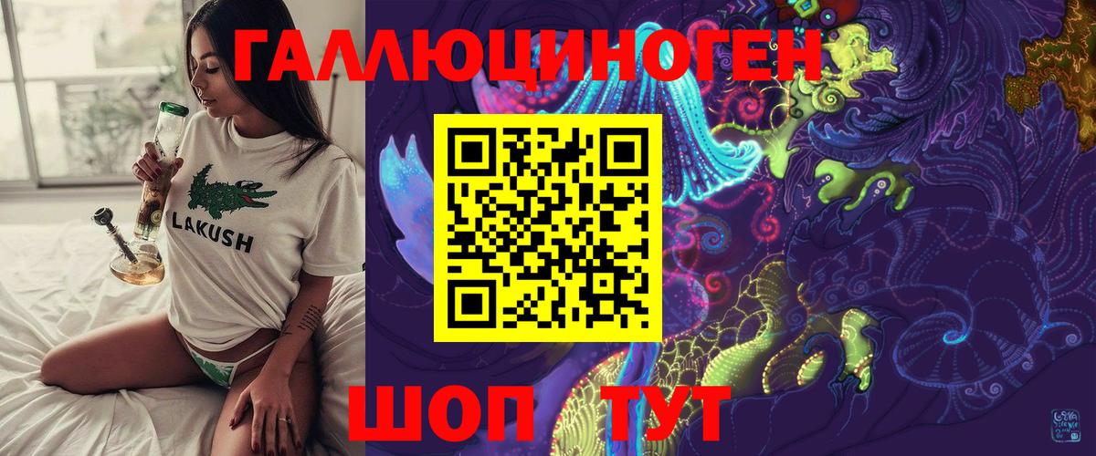 наркота  Вход с VPN  Лесной  Псилоцибиновые грибы прущие грибы  Галлюциногенные грибы Psilocybe 