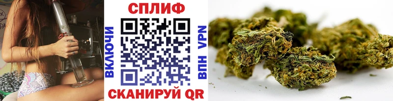 Конопля SATIVA & INDICA  хочу наркоту  Лесной 